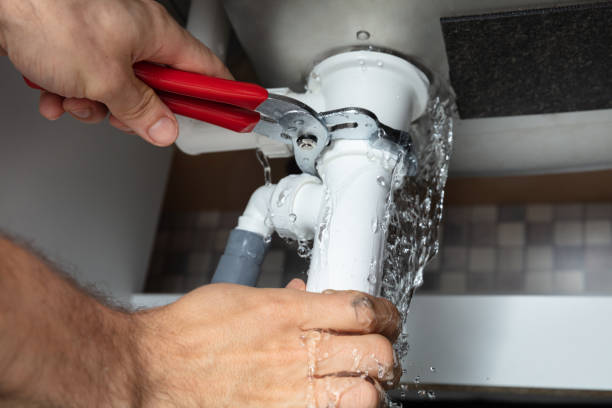 Best 24/7 water damage repair  in Shawneeland, VA