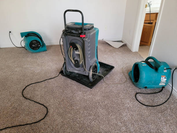 Best Water damage restoration near me  in Shawneeland, VA