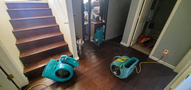 Local water damage restoration in VA