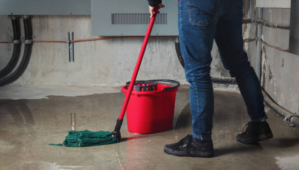 Best Professional water damage repair  in Shawneeland, VA