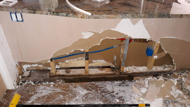  Shawneeland, VA Water damage restoration Pros