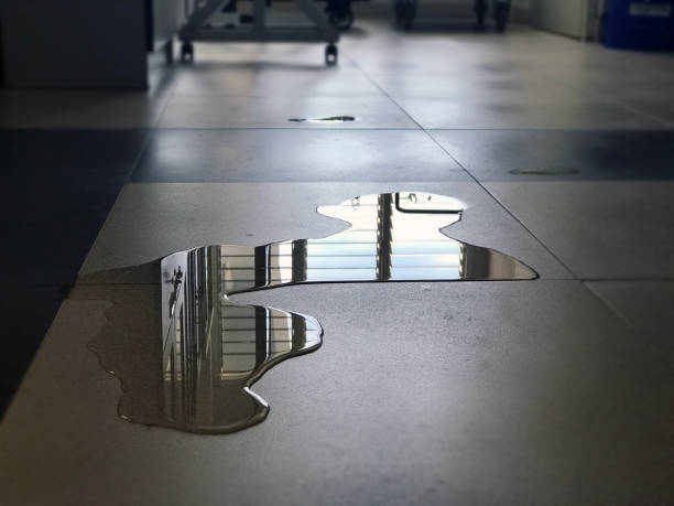 Carpet water damage restoration in VA