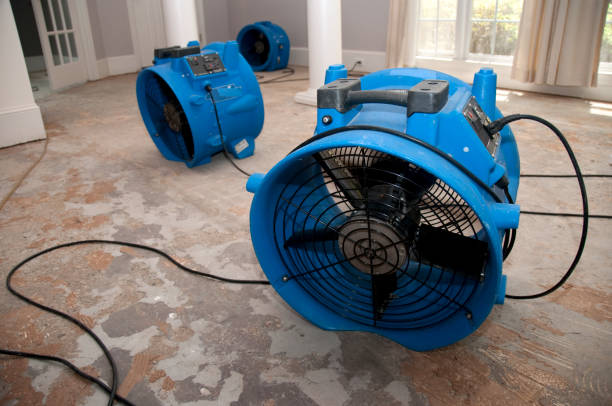Best Sewage cleanup and water damage restoration  in Shawneeland, VA