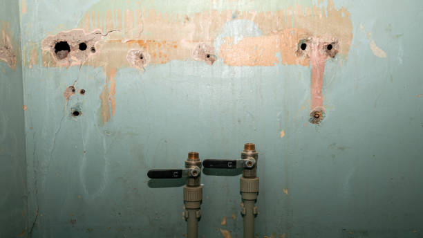 Best Sewage cleanup and water damage restoration  in Shawneeland, VA