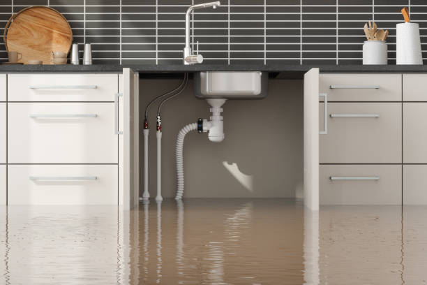 Best 24-hour water damage restoration  in Shawneeland, VA