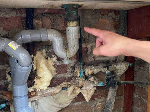 Best Mold removal after water damage  in Shawneeland, VA