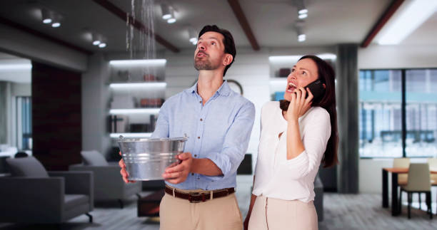 Best Water damage restoration process  in Shawneeland, VA